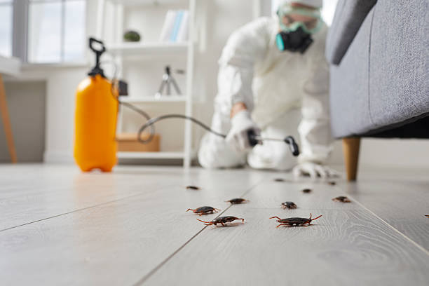 Commercial Rodent Management in Nederland